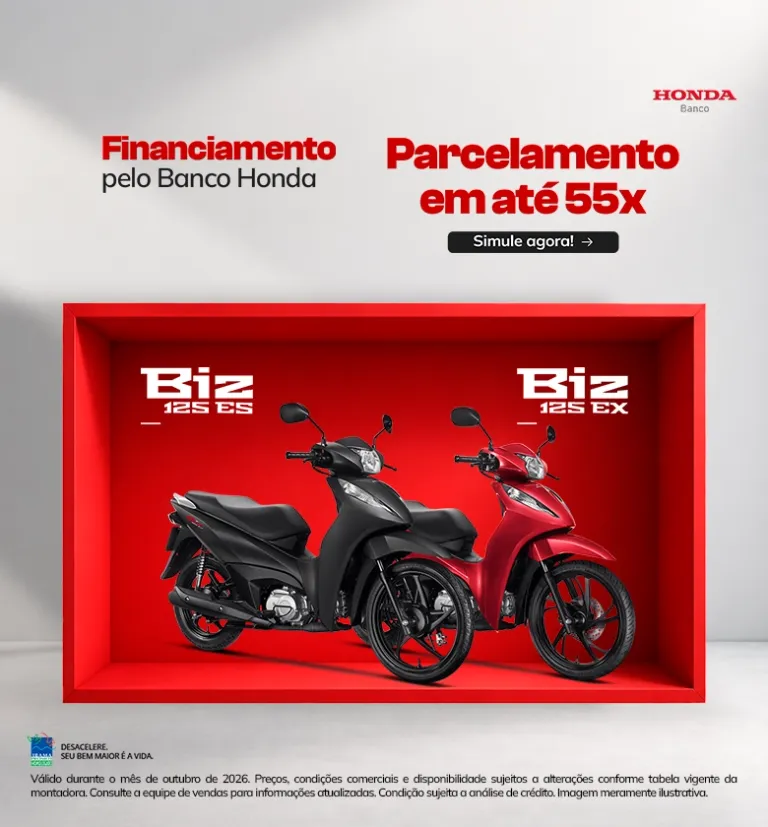 Banner Biz 125 EX e ES LCR Motos Honda