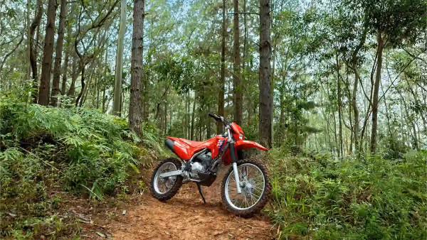Moto Crf 300f Galeria 4